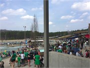 0-StPatricksDay