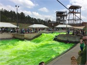 13-StPatricksDay