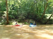 15-LowerGreen
