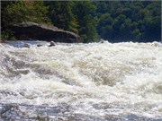 108-UpperGauley1800cfs