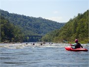 41-LowerGauley