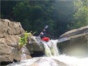 50-LowerGauley