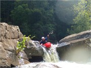 51-LowerGauley