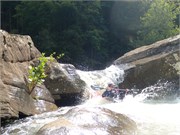 55-LowerGauley