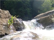 56-LowerGauley