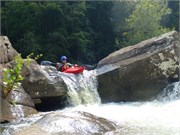 59-LowerGauley