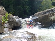 64-LowerGauley
