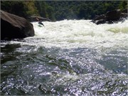 040-UpperGauley