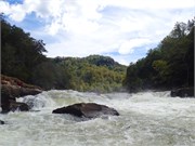 107-UpperGauley
