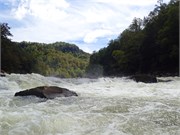 115-UpperGauley