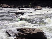130-UpperGauley