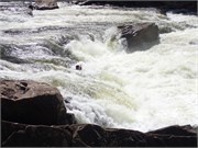 136-UpperGauley
