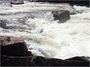 137-UpperGauley