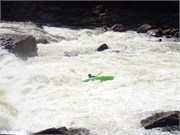146-UpperGauley
