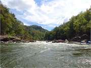 166-UpperGauley