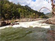 8-8-Gauley4thWeekend