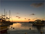 59_Aruba
