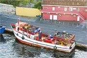 15_Cracao