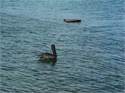 13_Bonaire