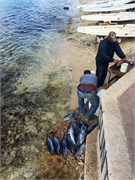 16_Bonaire