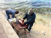 23_Bonaire