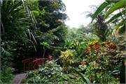 32_StLucia