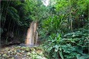41_StLucia