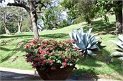 23_Martinique