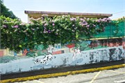 50_Martinique