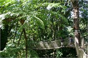 67_Martinique