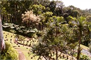 71_Martinique