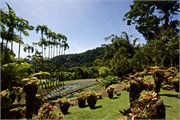 72_Martinique