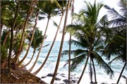16_DevilsIsland