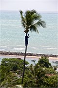 22_Recife