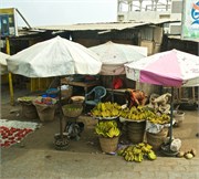 b10_Togo