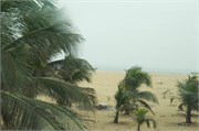 d183_Togo