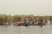 b53_Benin