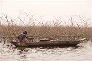 d156_Benin