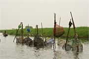 d172_Benin