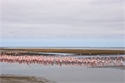 a6_WalvisBay-Namibia