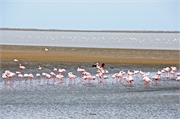 a7_WalvisBay-Namibia