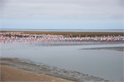 b10_WalvisBay-Namibia
