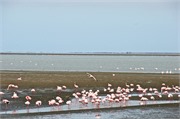 b11_WalvisBay-Namibia