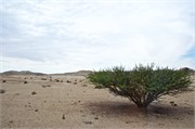 b71_WalvisBay-Namibia