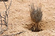 b98_WalvisBay-Namibia