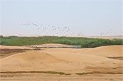 d140_WalvisBay-Namibia