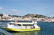 67_79_Martinique