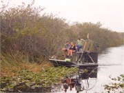 6_3_Miami-Everglades2