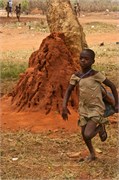 51_109_Togo