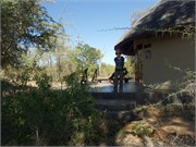 15_Motswari-us